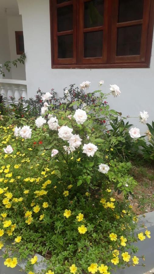 Hotel Ogumka, Self Catering , Beoliere, Mahe Victoria Zewnętrze zdjęcie
